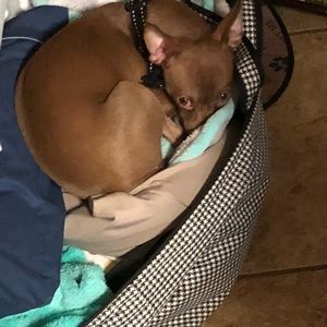 Meet your Posher, Gwen